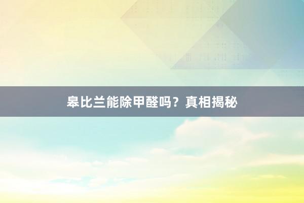 皋比兰能除甲醛吗？真相揭秘